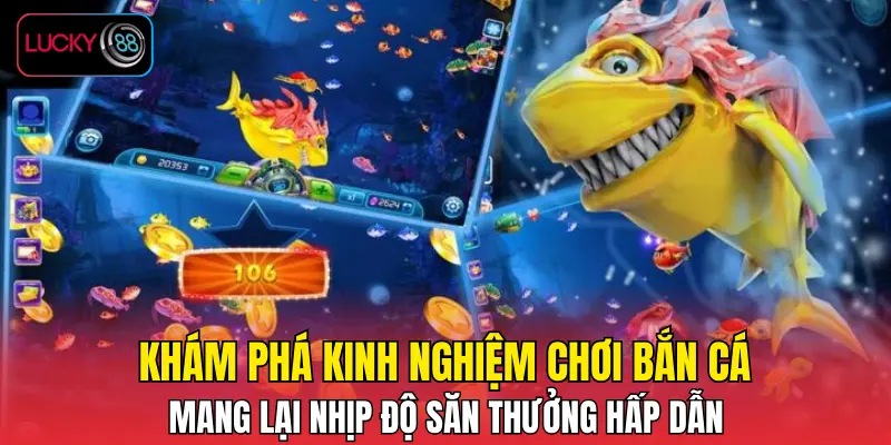 Khám phá kinh nghiệm chơi bắn cá mang lại nhịp độ săn thưởng hấp dẫn Khám phá kinh nghiệm chơi bắn cá mang lại nhịp độ săn thưởng hấp dẫn